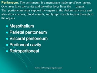 Peritoneum: The peritoneum is a membrane made up of two layers.
One layer lines the cavity and the other layer lines the organs.
The peritoneum helps support the organs in the abdominal cavity and
also allows nerves, blood vessels, and lymph vessels to pass through to
the organs
 Mesothelium
 Parietal peritoneum
 Visceral peritoneum
 Peritoneal cavity
 Retroperitoneal
16
Anatomy and Physiology of diagestive system
 