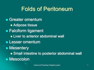 Folds of Peritoneum
 Greater omentum
 Adipose tissue
 Falciform ligament
 Liver to anterior abdominal wall
 Lesser omentum
 Mesentery
 Small intestine to posterior abdominal wall
 Mesocolon
17
Anatomy and Physiology of diagestive system
 