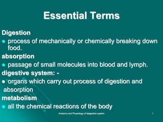 Essential Terms
Digestion
 process of mechanically or chemically breaking down
food.
absorption
 passage of small molecules into blood and lymph.
digestive system: -
 organs which carry out process of digestion and
absorption
metabolism
 all the chemical reactions of the body
3
Anatomy and Physiology of diagestive system
 