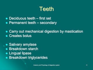 Teeth
 Deciduous teeth – first set
 Permanent teeth – secondary
 Carry out mechanical digestion by mastication
 Creates bolus
 Salivary amylase
 Breakdown starch
 Lingual lipase
 Breakdown triglycerides
36
Anatomy and Physiology of diagestive system
 