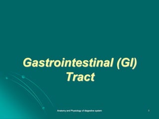Gastrointestinal (GI)
Tract
5
Anatomy and Physiology of diagestive system
 