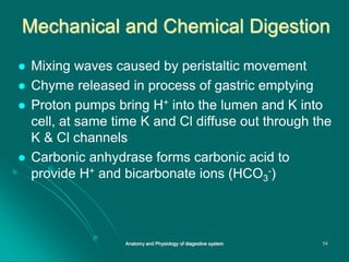 Mechanical and Chemical Digestion
 Mixing waves caused by peristaltic movement
 Chyme released in process of gastric emptying
 Proton pumps bring H+ into the lumen and K into
cell, at same time K and Cl diffuse out through the
K & Cl channels
 Carbonic anhydrase forms carbonic acid to
provide H+ and bicarbonate ions (HCO3
-)
54
Anatomy and Physiology of diagestive system
 