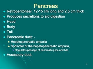 Pancreas
 Retroperitoneal, 12-15 cm long and 2.5 cm thick
 Produces secretions to aid digestion
 Head
 Body
 Tail
 Pancreatic duct: -
 Hepatopancreatic ampulla
 Sphincter of the hepatopancreatic ampulla,
 Regulates passage of pancreatic juice and bile
 Accessory duct.
61
 