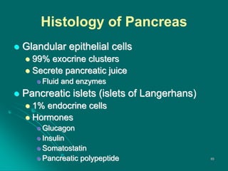 Histology of Pancreas
 Glandular epithelial cells
 99% exocrine clusters
 Secrete pancreatic juice
 Fluid and enzymes
 Pancreatic islets (islets of Langerhans)
 1% endocrine cells
 Hormones
 Glucagon
 Insulin
 Somatostatin
 Pancreatic polypeptide 65
 