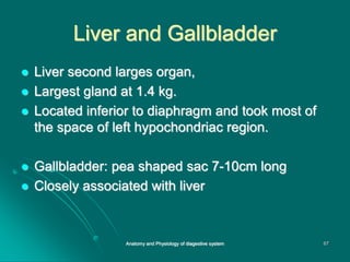 Liver and Gallbladder
 Liver second larges organ,
 Largest gland at 1.4 kg.
 Located inferior to diaphragm and took most of
the space of left hypochondriac region.
 Gallbladder: pea shaped sac 7-10cm long
 Closely associated with liver
67
Anatomy and Physiology of diagestive system
 