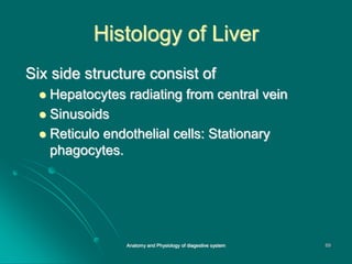 Histology of Liver
Six side structure consist of
 Hepatocytes radiating from central vein
 Sinusoids
 Reticulo endothelial cells: Stationary
phagocytes.
69
Anatomy and Physiology of diagestive system
 