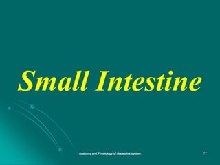 Small Intestine
77
Anatomy and Physiology of diagestive system
 
