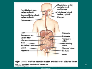 Figure 23.1
8
Anatomy and Physiology of diage
stive system
 