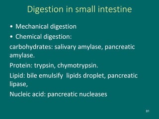 Digestion in small intestine
• Mechanical digestion
• Chemical digestion:
carbohydrates: salivary amylase, pancreatic
amylase.
Protein: trypsin, chymotrypsin.
Lipid: bile emulsify lipids droplet, pancreatic
lipase,
Nucleic acid: pancreatic nucleases
81
 