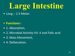 Large Intestine
• Long :- 1.5 Meter.
• Functions:-
• 1. Absorption,
• 2. Microbial Activity-Vit. K and Folic acid
• 3. Mass Movement,
• 4. Defaecation.
84
 