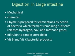Digestion in Large intestine
• Mechanical
• chemical
• Chyme is prepared for eliminations by action
of bacteria which ferment remaining nutrients
releases hydrogen, co2, and methane gases.
• Bilirubin to simple stercobilin
• Vit B and Vit K bacterial products
86
Anatomy and Physiology of diage
stive system
 