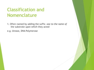 Classification and
Nomenclature
1. Often named by adding the suffix -ase to the name of
the substrate upon which they acted
e.g. Urease, DNA Polymerase
 