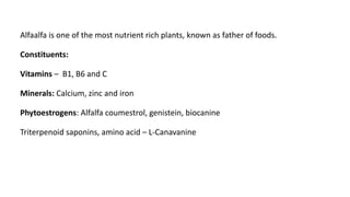 Alfaalfa is one of the most nutrient rich plants, known as father of foods.
Constituents:
Vitamins – B1, B6 and C
Minerals: Calcium, zinc and iron
Phytoestrogens: Alfalfa coumestrol, genistein, biocanine
Triterpenoid saponins, amino acid – L-Canavanine
 
