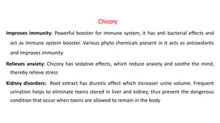 Improves immunity: Powerful booster for immune system, it has anti bacterial effects and
act as immune system booster. Various phyto chemicals present in it acts as antioxidants
and improves immunity
Relieves anxiety: Chicory has sedative effects, which reduce anxiety and soothe the mind,
thereby relieve stress
Kidney disorders: Root extract has diuretic effect which increaser urine volume. Frequent
urination helps to eliminate toxins stored in liver and kidney, thus prevent the dangerous
condition that occur when toxins are allowed to remain in the body
Chicory
 