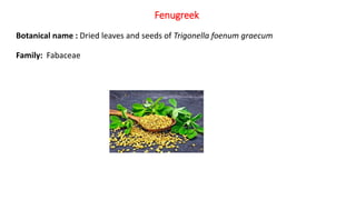 Botanical name : Dried leaves and seeds of Trigonella foenum graecum
Family: Fabaceae
Fenugreek
 