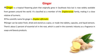 ❖Ginger is a tropical flowering plant that originally grew in Southeast Asia but is now widely available
from growers around the world. It's classified as a member of the Zingiberaceae family, making it a close
relative of turmeric.
❖The scientific name for ginger is Zingiber officinalis.
❖Ginger can be eaten fresh, dried and stored as a spice, or made into tablets, capsules, and liquid extracts.
There’s about 2 percent of essential oil in the root, which is used in the cosmetic industry as a fragrance in
soaps and beauty products.
Ginger
 