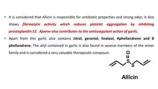 • It is considered that Allicin is responsible for antibiotic properties and strong odor; it also
shows fibrinolytic activity which reduces platelet aggregation by inhibiting
prostaglandin E2. Ajoene also contributes to the anticoagulant action of garlic.
• Apart from this garlic also contains citral, geraniol, linalool, Aphellandrene and B
phellandrene. The allyl contained in garlic is also found in several members of the onion
family and is considered a very valuable therapeutic compound.
 