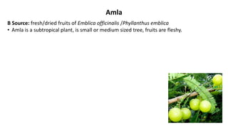 Amla
B Source: fresh/dried fruits of Emblica officinalis /Phyllanthus emblica
• Amla is a subtropical plant, is small or medium sized tree, fruits are fleshy.
 