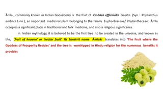 Āmla , commonly known as Indian Gooseberry is the fruit of Emblica officinalis Gaertn. (Syn.: Phyllanthus
emblica Linn.), an important medicinal plant belonging to the family Euphorbiaceae/ Phyllanthaceae. Āmla
occupies a significant place in traditional and folk medicine, and also a religious significance.
In Indian mythology, it is believed to be the first tree to be created in the universe, and known as
the, ‘fruit of heaven’ or ‘nectar fruit’. Its Sanskrit name Āmlaki translates into ‘The Fruit where the
Goddess of Prosperity Resides’ and the tree is worshipped in Hindu religion for the numerous benefits it
provides
 