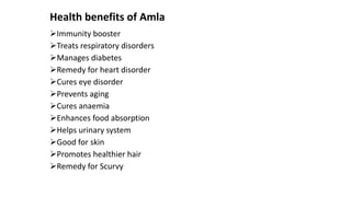 Health benefits of Amla
➢Immunity booster
➢Treats respiratory disorders
➢Manages diabetes
➢Remedy for heart disorder
➢Cures eye disorder
➢Prevents aging
➢Cures anaemia
➢Enhances food absorption
➢Helps urinary system
➢Good for skin
➢Promotes healthier hair
➢Remedy for Scurvy
 