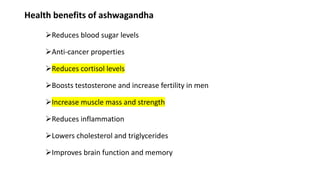 Health benefits of ashwagandha
➢Reduces blood sugar levels
➢Anti-cancer properties
➢Reduces cortisol levels
➢Boosts testosterone and increase fertility in men
➢Increase muscle mass and strength
➢Reduces inflammation
➢Lowers cholesterol and triglycerides
➢Improves brain function and memory
 