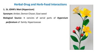 1. St. JOHN’s Wort (Hypercium)
Synonym: Amber, Demon Chaser, Goat weed
Biological Source: It consists of aerial parts of Hypercium
perforatum of family: Hypericaceae
Herbal-Drug and Herb-Food Interactions
 