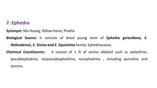 7. Ephedra
Synonym: Ma-Huang, Yellow horse, Pinella
Biological Source: It consists of dried young stem of Ephedra gerardiana, E.
Nebrodensis, E. Sinina and E. Equisetina family: Ephedriacease.
Chemical Constituents: It consist of 1 % of amino alkaloid such as ephedrine,
pseudoephidrine, norpseudoephedrine, norephedrine , including quinoline and
tannins.
 