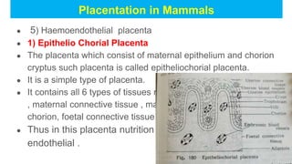 Chorial Extick anra Embryonic membrane in Chd Placenta in Mammals | PPTX