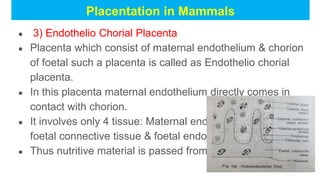 Chorial Extick anra Embryonic membrane in Chd Placenta in Mammals | PPTX