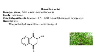 Henna (Lawsonia)
Biological source: Dried leaves – Lawsonia inermis
Family : Lythraceae
Chemical constituents: Lawsone – 2,5 – diOH-1,4-naphthoquinone (orange dye)
Uses: Hair dye
Along with dihydroxy acetone –sunscreen agent
 