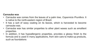 Carnauba wax
• Carnauba wax comes from the leaves of a palm tree, Copernicia Prunifera. It
is native to the north-eastern region of Brazil.
• It has a sort of waxy coating on its leaves, which is harvested to become
carnauba wax.
• Carnauba wax has similar properties to other plant waxes such as emollient
properties.
• In addition, it has hypoallergenic properties, provides a glossy finish to the
formula and is used in many applications, from skin care to make-up products,
such as foundations
 