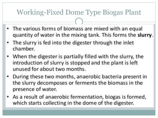 Working-Fixed Dome Type Biogas Plant
 