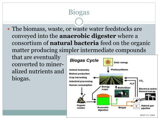 Biogas
 The biomass, waste, or waste water feedstocks are
conveyed into the anaerobic digester where a
consortium of natural bacteria feed on the organic
matter producing simpler intermediate compounds
that are eventually
converted to miner-
alized nutrients and
biogas.
 