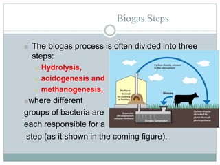 Biogas Steps
■ The biogas process is often divided into three
steps:
■ Hydrolysis,
■ acidogenesis and
■ methanogenesis,
■where different
groups of bacteria are
each responsible for a
step (as it shown in the coming figure).
 