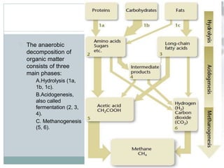The anaerobic
decomposition of
organic matter
consists of three
main phases:
A.Hydrolysis (1a,
1b, 1c).
B.Acidogenesis,
also called
fermentation (2, 3,
4).
C. Methanogenesis
(5, 6).
 