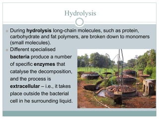 Hydrolysis
■ During hydrolysis long-chain molecules, such as protein,
carbohydrate and fat polymers, are broken down to monomers
(small molecules).
■ Different specialised
bacteria produce a number
of specific enzymes that
catalyse the decomposition,
and the process is
extracellular – i.e., it takes
place outside the bacterial
cell in he surrounding liquid.
 