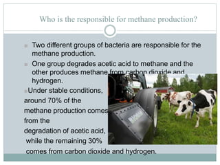 Who is the responsible for methane production?
■ Two different groups of bacteria are responsible for the
methane production.
■ One group degrades acetic acid to methane and the
other produces methane from carbon dioxide and
hydrogen.
■Under stable conditions,
around 70% of the
methane production comes
from the
degradation of acetic acid,
while the remaining 30%
comes from carbon dioxide and hydrogen.
 