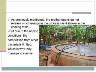 ■ As previously mentioned, the methanogens do not
release much energy in the process (as it shown in the
coming table).
■But due to the anoxic
conditions, the
competition from other
bacteria is limited,
which is why they
manage to survive.
 