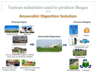 Various substrates used to produce Biogas
 