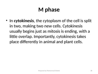 Anatomy and physiology of Cell, structure, cell cycle | PPTX