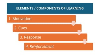 Comprehensive Overview of Learning Theories and Principles for ...