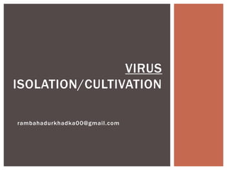 rambahadurkhadka00@gmail.com
VIRUS
ISOLATION/CULTIVATION
 