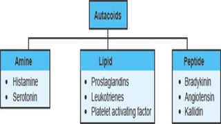 UNIT-III AUTOCOIDS AND RELEATED DRUGS.pptx