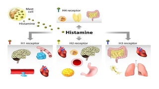 UNIT-III AUTOCOIDS AND RELEATED DRUGS.pptx