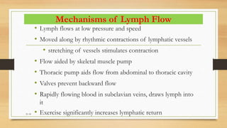 21-18
Mechanisms of Lymph Flow
• Lymph flows at low pressure and speed
• Moved along by rhythmic contractions of lymphatic vessels
• stretching of vessels stimulates contraction
• Flow aided by skeletal muscle pump
• Thoracic pump aids flow from abdominal to thoracic cavity
• Valves prevent backward flow
• Rapidly flowing blood in subclavian veins, draws lymph into
it
• Exercise significantly increases lymphatic return
 