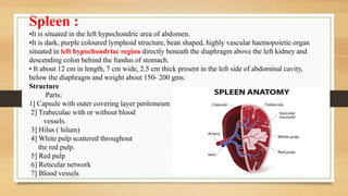 Spleen :
•It is situated in the left hypochondric area of abdomen.
•It is dark, purple coloured lymphoid structure, bean shaped, highly vascular haemopoietic organ
situated in left hypochondriac region directly beneath the diaphragm above the left kidney and
descending colon behind the fundus of stomach.
• It about 12 cm in length, 7 cm wide, 2.5 cm thick present in the left side of abdominal cavity,
below the diaphragm and weight about 150- 200 gms.
Structure
Parts:
1] Capsule with outer covering layer peritoneum
2] Trabeculae with or without blood
vessels.
3] Hilus ( hilum)
4] White pulp scattered throughout
the red pulp.
5] Red pulp
6] Reticular network
7] Blood vessels
 