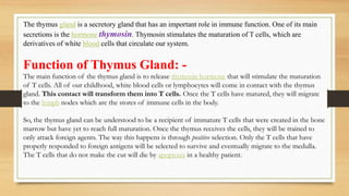 The thymus gland is a secretory gland that has an important role in immune function. One of its main
secretions is the hormone thymosin. Thymosin stimulates the maturation of T cells, which are
derivatives of white blood cells that circulate our system.
Function of Thymus Gland: -
The main function of the thymus gland is to release thymosin hormone that will stimulate the maturation
of T cells. All of our childhood, white blood cells or lymphocytes will come in contact with the thymus
gland. This contact will transform them into T cells. Once the T cells have matured, they will migrate
to the lymph nodes which are the stores of immune cells in the body.
So, the thymus gland can be understood to be a recipient of immature T cells that were created in the bone
marrow but have yet to reach full maturation. Once the thymus receives the cells, they will be trained to
only attack foreign agents. The way this happens is through positive selection. Only the T cells that have
properly responded to foreign antigens will be selected to survive and eventually migrate to the medulla.
The T cells that do not make the cut will die by apoptosis in a healthy patient.
 