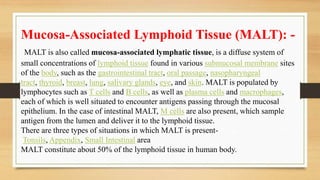 Mucosa-Associated Lymphoid Tissue (MALT): -
MALT is also called mucosa-associated lymphatic tissue, is a diffuse system of
small concentrations of lymphoid tissue found in various submucosal membrane sites
of the body, such as the gastrointestinal tract, oral passage, nasopharyngeal
tract, thyroid, breast, lung, salivary glands, eye, and skin. MALT is populated by
lymphocytes such as T cells and B cells, as well as plasma cells and macrophages,
each of which is well situated to encounter antigens passing through the mucosal
epithelium. In the case of intestinal MALT, M cells are also present, which sample
antigen from the lumen and deliver it to the lymphoid tissue.
There are three types of situations in which MALT is present-
Tonsils, Appendix, Small Intestinal area
MALT constitute about 50% of the lymphoid tissue in human body.
 