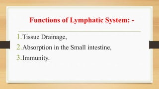Functions of Lymphatic System: -
1.Tissue Drainage,
2.Absorption in the Small intestine,
3.Immunity.
 