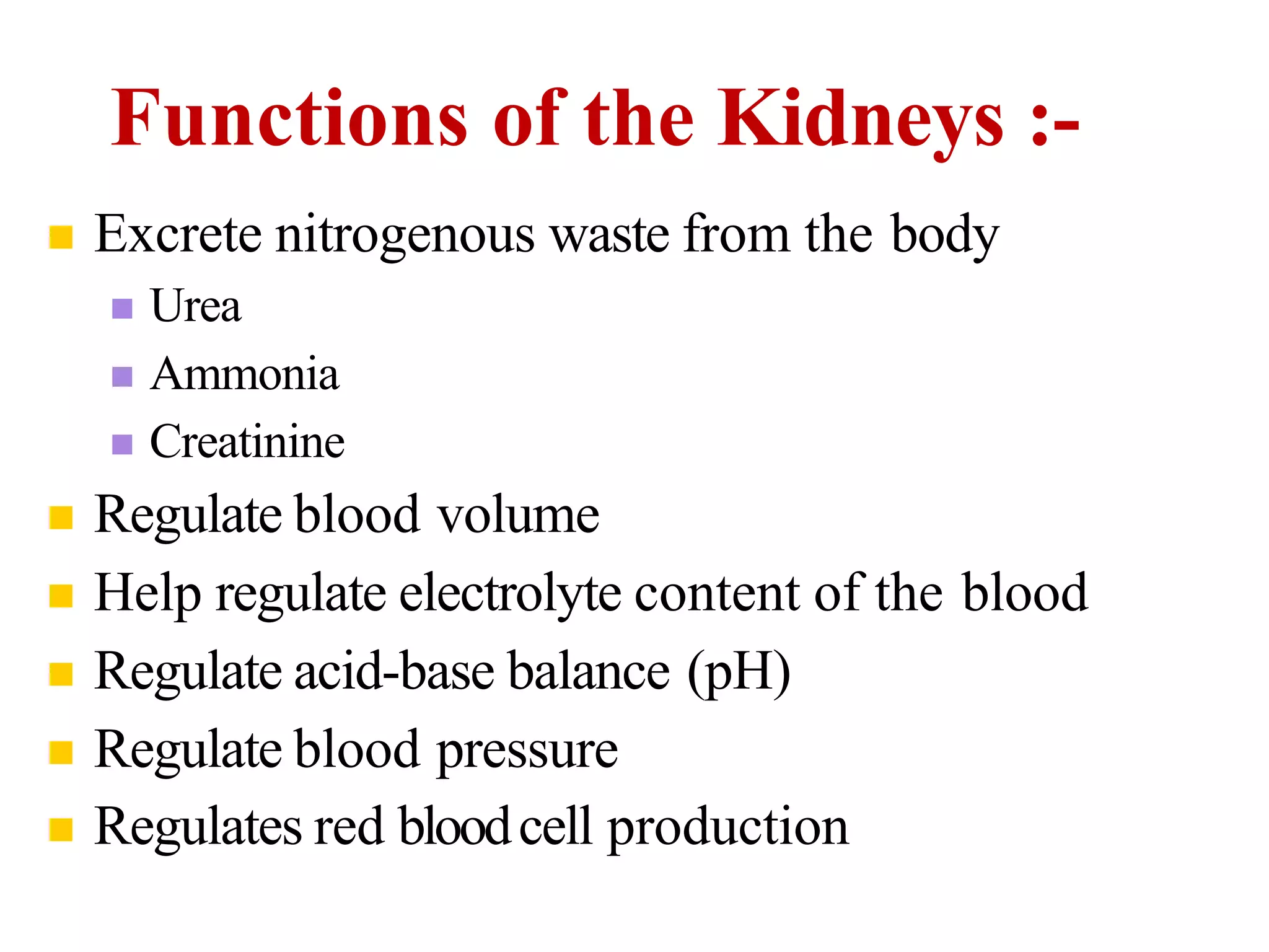  Excrete nitrogenous waste from the body
 Urea
 Ammonia
 Creatinine
 Regulate blood volume
 Help regulate electrolyte content of the blood
 Regulate acid-base balance (pH)
 Regulate blood pressure
 Regulates red bloodcell production
Functions of the Kidneys :-
 
